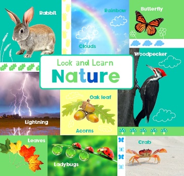 Look and Learn: Nature #BK210