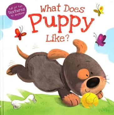 What Does Puppy Like? - Touch and Feel #BK131