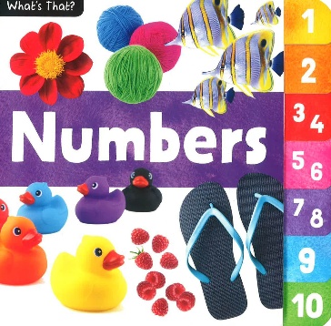 What’s That: Numbers #BK159