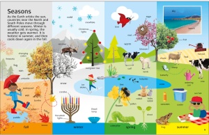 1000 Words: Science - DK Publishing #BK218 - Img 2