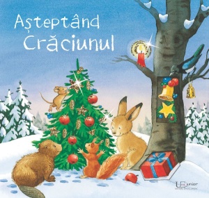 Asteptand Craciunul #CR087