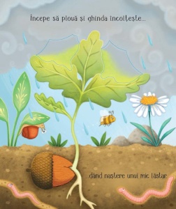Cicluri de viata. Copacelul. Carte cu clapete ( Usborne) #CR116 - Img 3