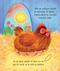 Cicluri de viata. Puisorul. Carte cu clapete ( Usborne) #CR103 - Img 2