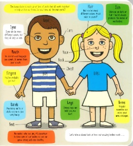 Little Explorers: My Amazing Body #BK412 - Img 8