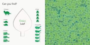 Paper Peek: Colours - Search & Find #BK274 - Img 6