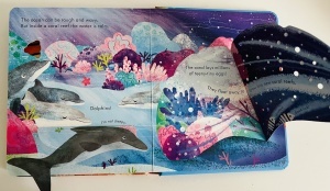Peep Inside a Coral Reef - Lift the Flaps- Usborne #BK388 - Img 9