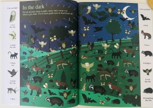 Search and Find: Animals #BK240 - Img 8