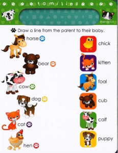 Write and Wipe - Shapes, Opposites and More #BK211 - Img 4