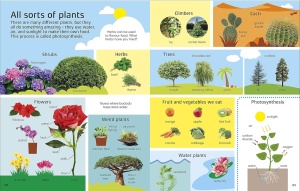 1000 Words: Nature - DK Publishing #BK101 - Img 3