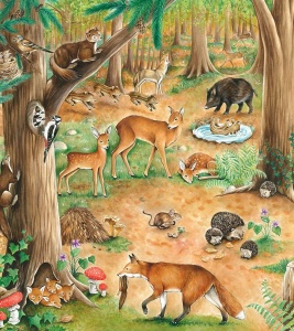 Cauta si gaseste. Animale #CR100 - Img 4