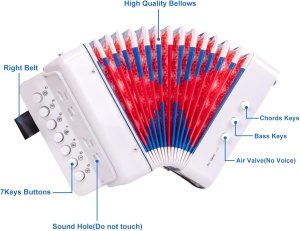 Instrument Muzical Acordeon Jucarie, 7 butoane, 2 bass, Alb #JJ5182 - Img 7