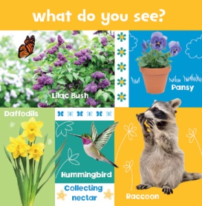 Look and Learn: Nature #BK210 - Img 4