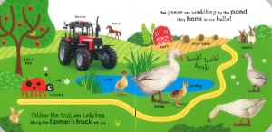 On the Farm with a Ladybug #BK216 - Img 2