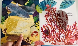 Peep Inside a Coral Reef - Lift the Flaps- Usborne #BK388 - Img 6