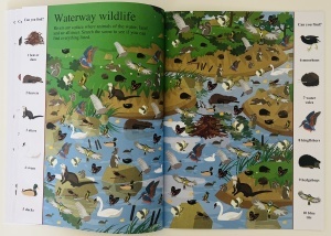 Search and Find: Animals #BK240 - Img 5