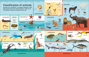 1000 Words: Science - DK Publishing #BK218 - Img 4
