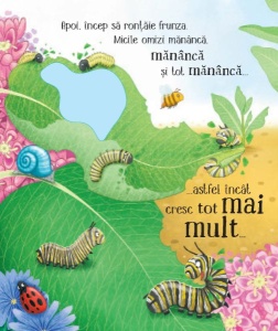 Cicluri de viata. Fluturasul. Carte cu clapete ( Usborne) #CR110 - Img 4