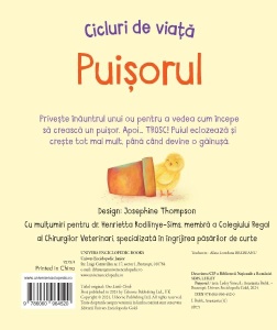 Cicluri de viata. Puisorul. Carte cu clapete ( Usborne) #CR103 - Img 6