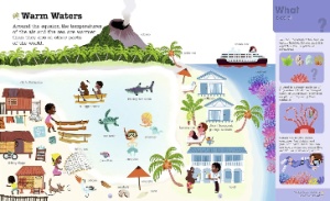 Do You Know? : Oceans and Marine Life #BK303 - Img 5