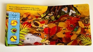 First Explorers: Brilliant Bugs - Push-pull-slide - Campbell #BK512 - Img 6