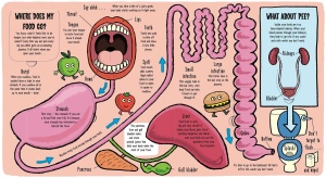 Little Explorers: My Amazing Body #BK412 - Img 6