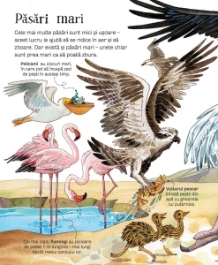 Marea Carte a Animalelor (Usborne) #CR037 - Img 4