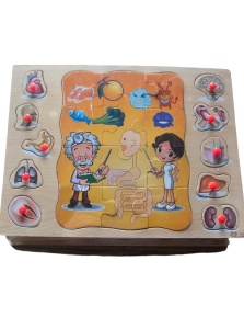 Puzzle incastru 2 in 1 din lemn tip Montessori : Anatomia Umană/ Sănătate #JJ5066 - Img 3