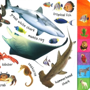 What’s That: Animals #BK158 - Img 3