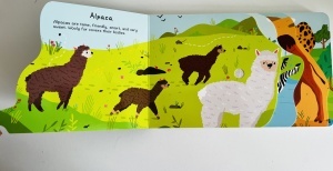 Busy Animals - Grasslands - Sound Book #BK493 - Img 4