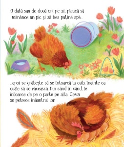 Cicluri de viata. Puisorul. Carte cu clapete ( Usborne) #CR103 - Img 3