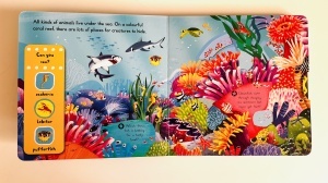 First Explorers: Sea Creatures - Push-pull-slide - Campbell #BK520 - Img 2