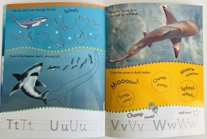 Learn to Write - Wipe Clean - Sharks #BK362 - Img 7