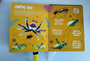 Seek and Find: Bugs (with Searchlight and Flaps to lift) #BK491 - Img 10