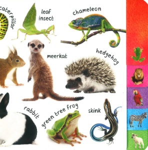 What’s That: Animals #BK158 - Img 4