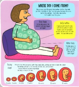 Little Explorers: My Amazing Body #BK412 - Img 3