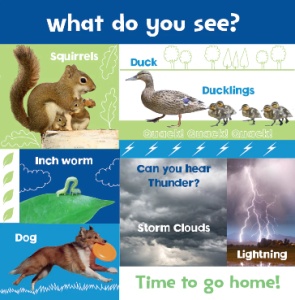 Look and Learn: Nature #BK210 - Img 6