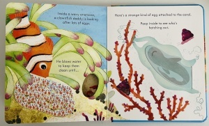 Peep Inside a Coral Reef - Lift the Flaps- Usborne #BK388 - Img 7