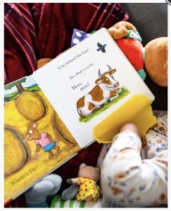 Pip and Posy: Where are you? - On the Farm - Felt Flaps, Axel Scheffler #BK566 - Img 3