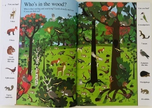 Search and Find: In the Wild #BK244 - Img 5