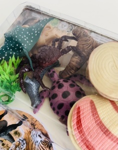 Set Figurine Animale Marine din plastic, 10 piese #JJ5260 - Img 4