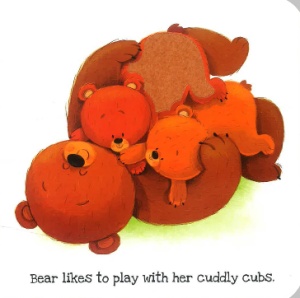 What Does Bear Like? - Touch and Feel #BK336 - Img 4
