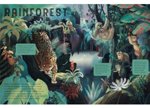 Animals at Night - With a Huge Glow in the Dark Poster #BK416 - Img 2