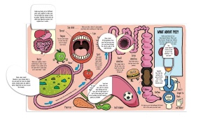 Little Explorers: My Amazing Body #BK412 - Img 7