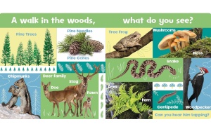 Look and Learn: Nature #BK210 - Img 2