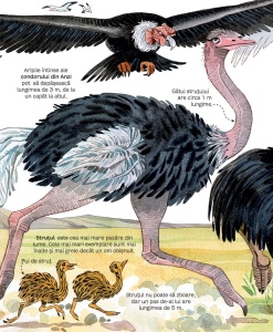 Marea Carte a Animalelor (Usborne) #CR037 - Img 5