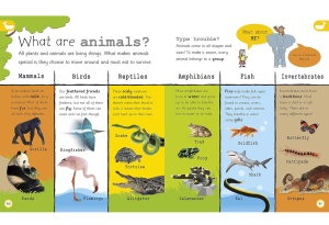 My Encyclopedia of Very Important Things - DK Publishing #BK103 - Img 5