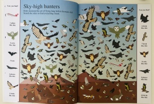 Search and Find: Animals #BK240 - Img 3
