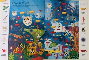 Search and Find: In the Wild #BK244 - Img 2
