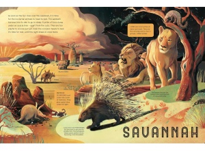 Animals at Night - With a Huge Glow in the Dark Poster #BK416 - Img 3