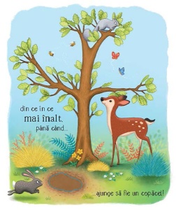 Cicluri de viata. Copacelul. Carte cu clapete ( Usborne) #CR116 - Img 5